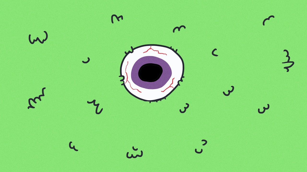 Big Brother is Always Watching
